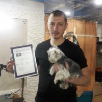 Школа-студия груминга Маленькая прелесть Фото 2 на проекте VetSpravka.ru Школа-студия груминга Маленькая прелесть Фото 2 на проекте VetSpravka.ru